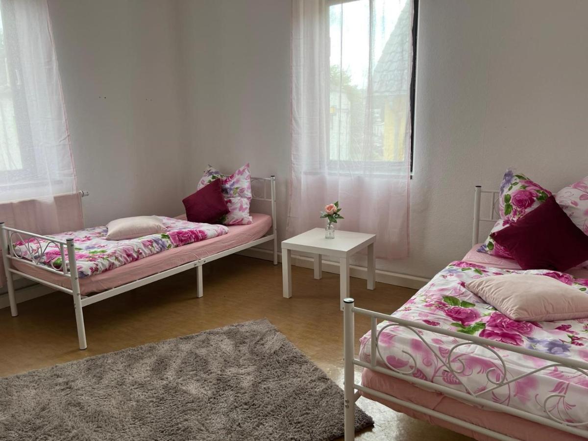 Appartement Wolke 7 à Freital Extérieur photo